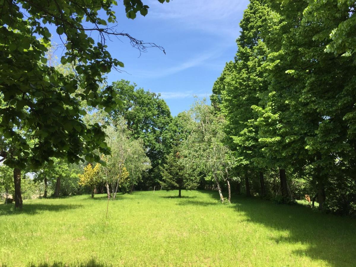 Happy Hill - Appartamento Quercia - Natura E Relax Santa Maria Rocca Extérieur photo