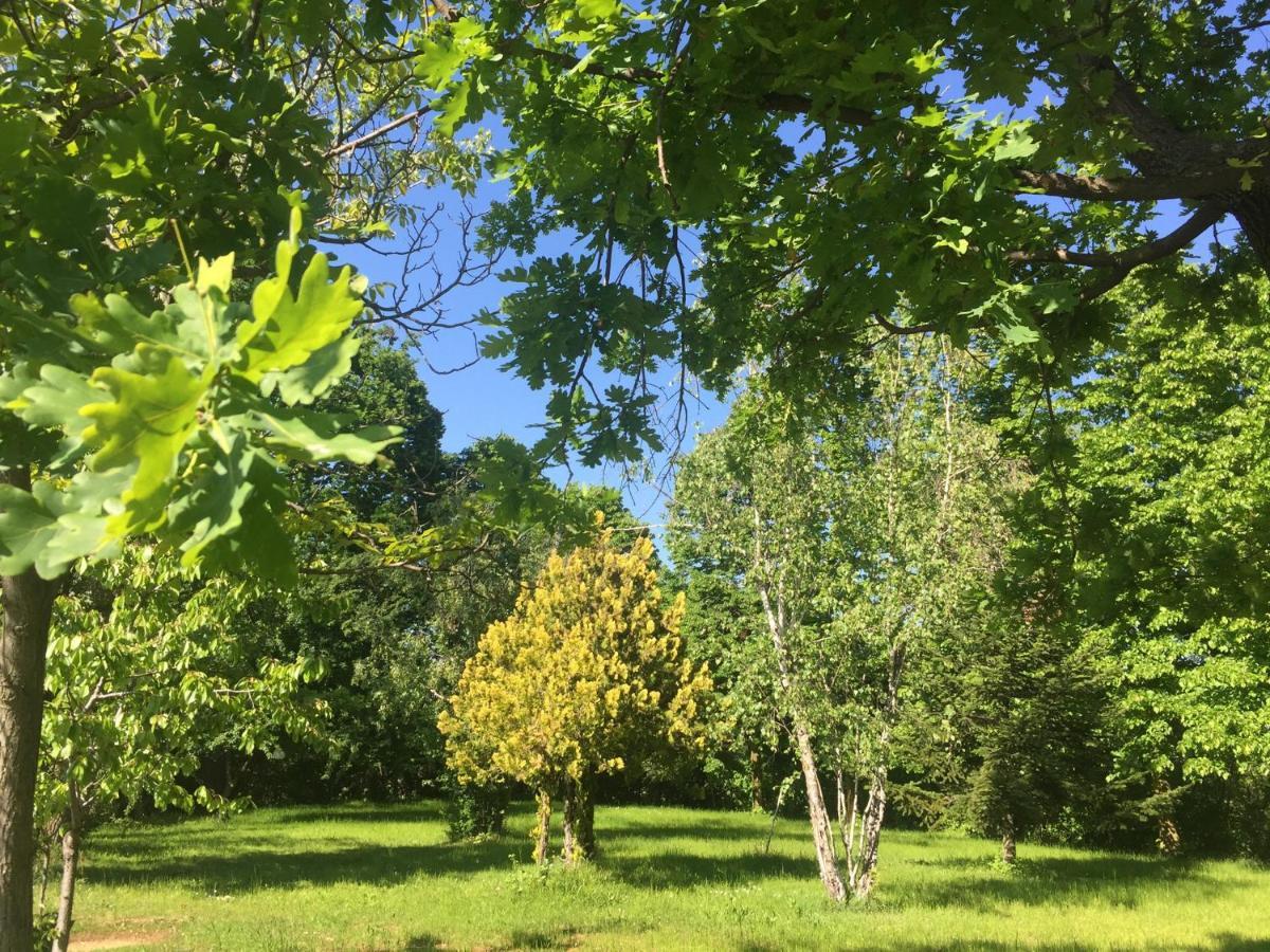 Happy Hill - Appartamento Quercia - Natura E Relax Santa Maria Rocca Extérieur photo